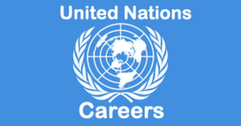 Paid UN Internships 2025: Global Opportunities