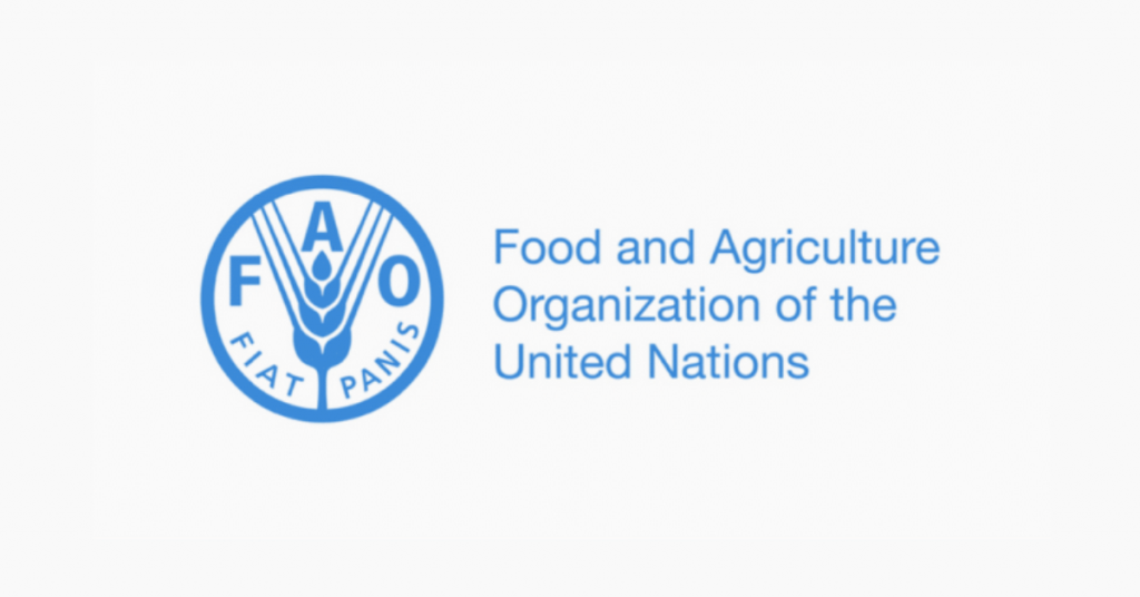 6 Remote FAO Consultant Opportunities | UN Climate, GIS & Fisheries Roles | Home-Based International Positions
