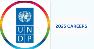 Project Coordinator Job in Addis Ababa: Lead MSME Finance Initiatives (Apply by 12 Nov 2025)