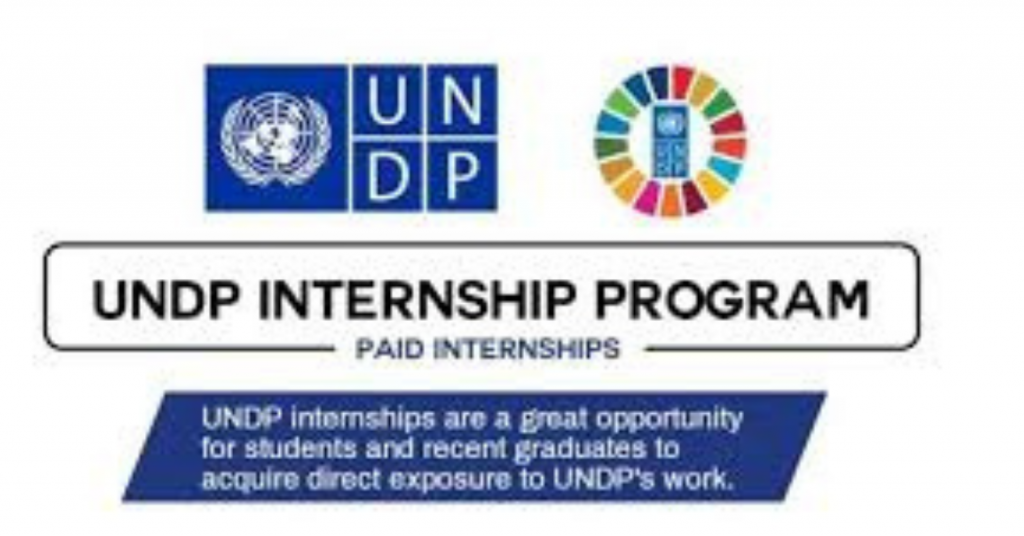 UNDP PAID Internship 2025: Gain Experience in Inclusive Growth & Governance