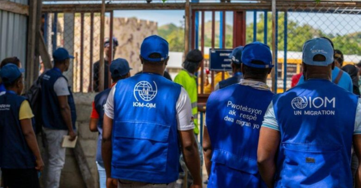 Remote UN Consultancy 2026: Join IOM Türkiye as a Migration Specialist and Earn Up to $350 Per Day