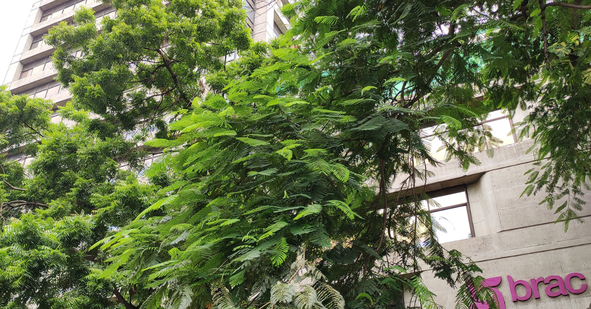 BRAC Internship Programme 2026 (Finance Unit) | Paid Internship in Dhaka, Bangladesh