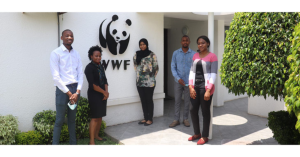 Remote WWF Private Sector Paid Internship 2026: Drive Corporate Sustainability from Anywhere